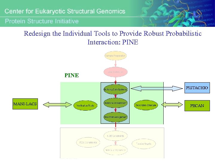 Redesign the Individual Tools to Provide Robust Probabilistic Interaction: PINE PISTACHIO MANI-LACS PECAN 