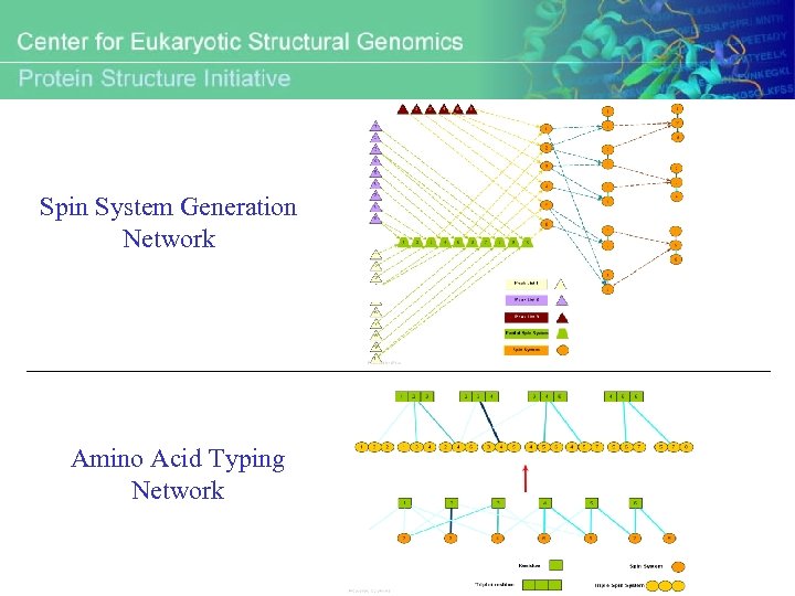 Spin System Generation Network Amino Acid Typing Network 