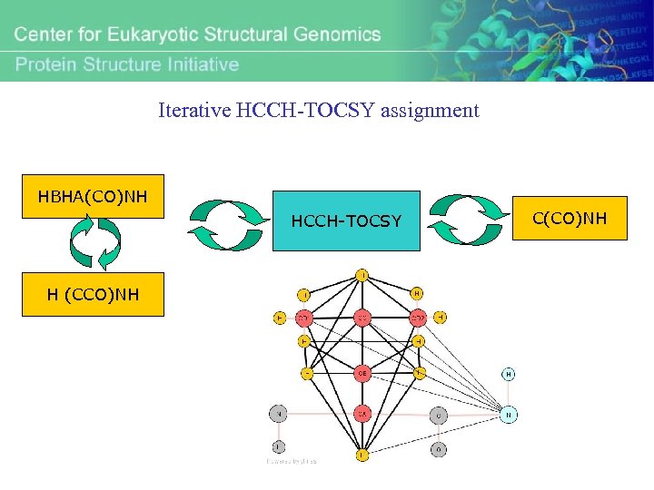 Iterative HCCH-TOCSY assignment HBHA(CO)NH HCCH-TOCSY H (CCO)NH C(CO)NH 