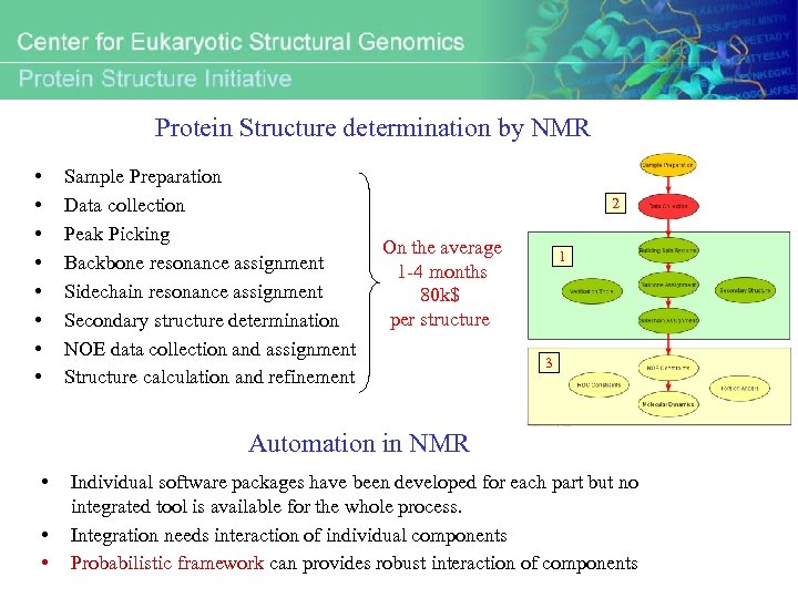 Protein Structure determination by NMR • • Sample Preparation Data collection Peak Picking Backbone