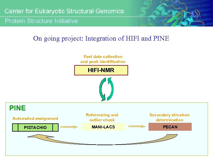 On going project: Integration of HIFI and PINE Fast data collection and peak identification