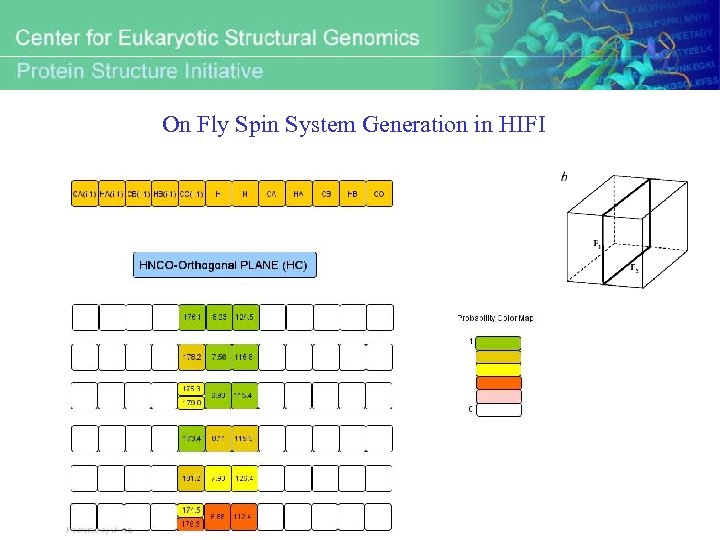On Fly Spin System Generation in HIFI 