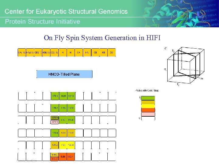On Fly Spin System Generation in HIFI 