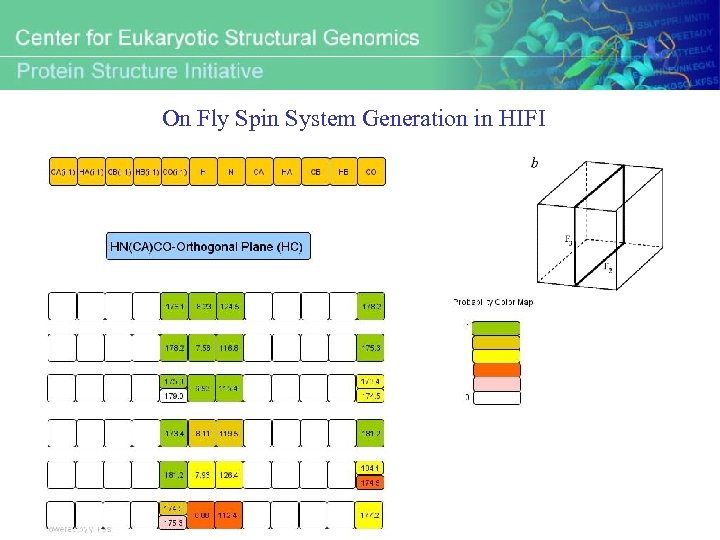 On Fly Spin System Generation in HIFI 