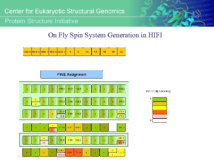 On Fly Spin System Generation in HIFI 