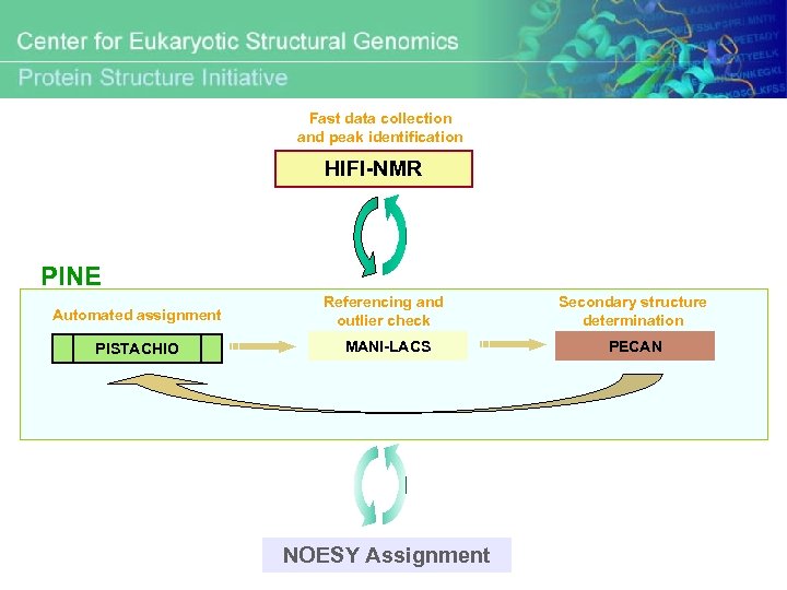 Fast data collection and peak identification HIFI-NMR PINE Automated assignment Referencing and outlier check