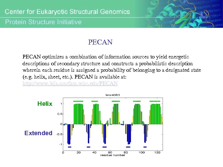 PECAN optimizes a combination of information sources to yield energetic descriptions of secondary structure