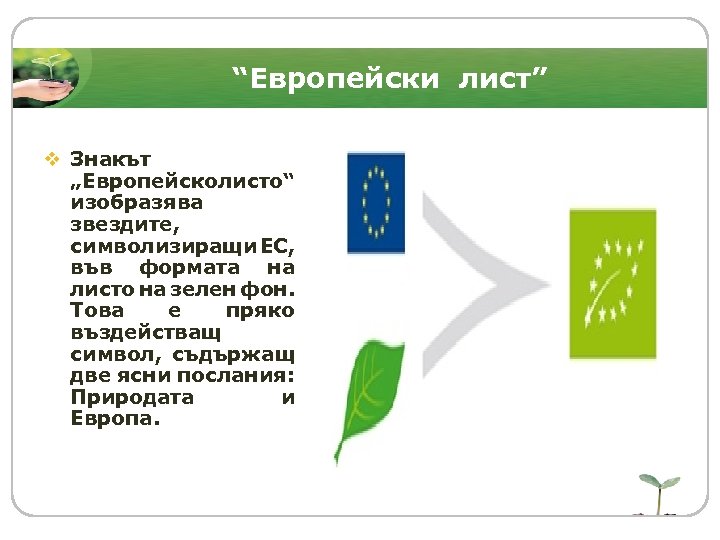 “Европейски лист” v Знакът „Европейсколисто“ изобразява звездите, символизиращи ЕС, във формата на листо на