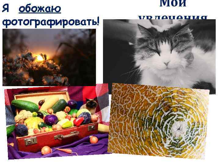 Я обожаю фотографировать! Мои увлечения 