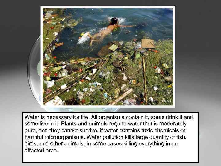 Water is necessary for life. All organisms contain it, some drink it and some