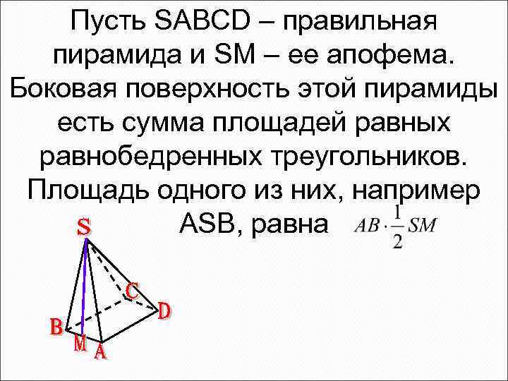 Пусть SABCD – правильная пирамида и SM – ее апофема. Боковая поверхность этой пирамиды