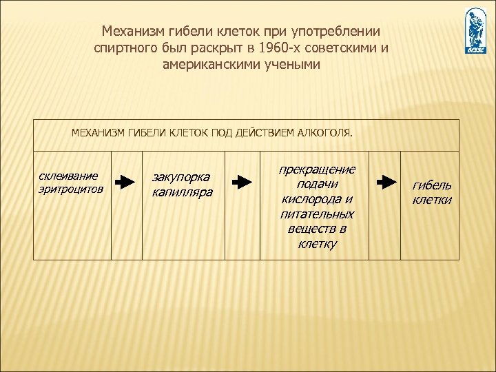 Механизм гибели клеток при употреблении спиртного был раскрыт в 1960 -х советскими и американскими