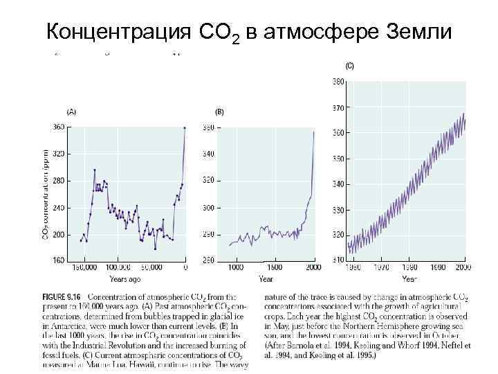 Концентрация СО 2 в атмосфере Земли 