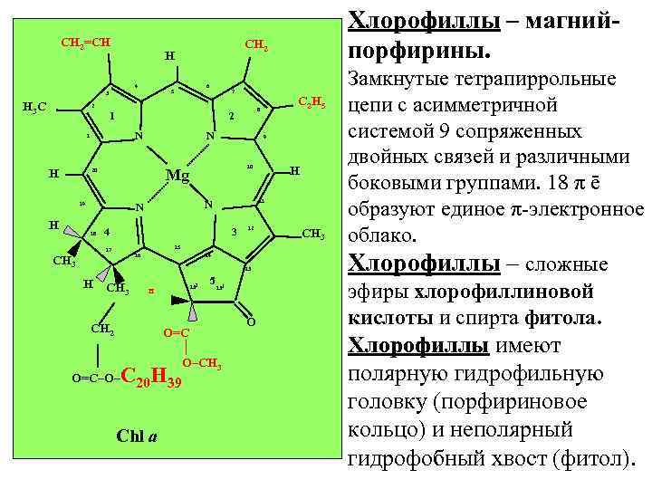 CH 2=CH Хлорофиллы – магнийпорфирины. CH 2 H 4 6 5 3 H 3