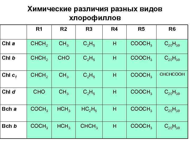 Химические различия разных видов хлорофиллов R 1 R 2 R 3 R 4 R