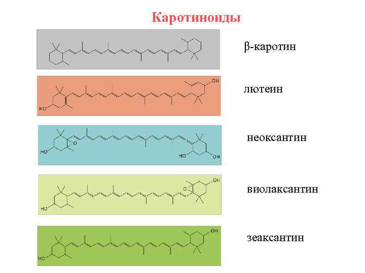 Каротиноиды β-каротин лютеин неоксантин виолаксантин зеаксантин 