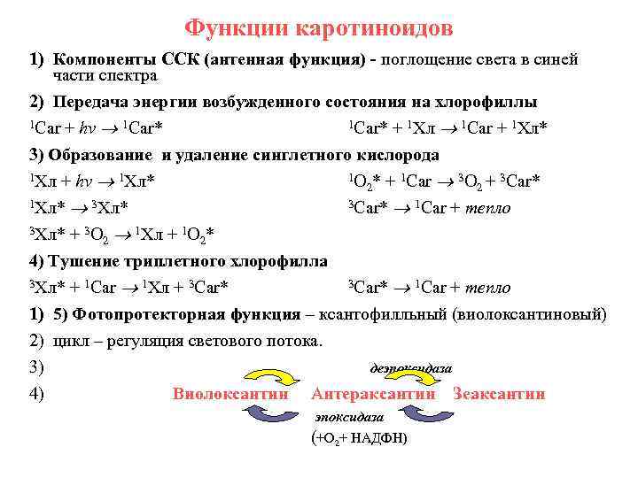 Функции каротиноидов 1) Компоненты ССК (антенная функция) - поглощение света в синей части спектра