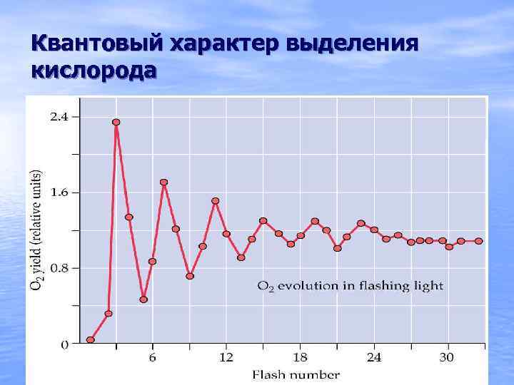 Квантовый характер выделения кислорода 