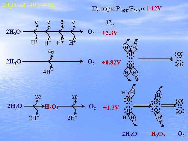 2 H 2 O -4ē -4 H+ O 2 ē ē E 0 пары