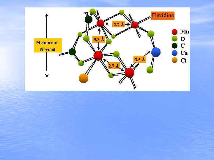 Histidine 2. 7 Ǻ Membrane Normal 3. 3 Ǻ 3. 5 Ǻ 2. 7