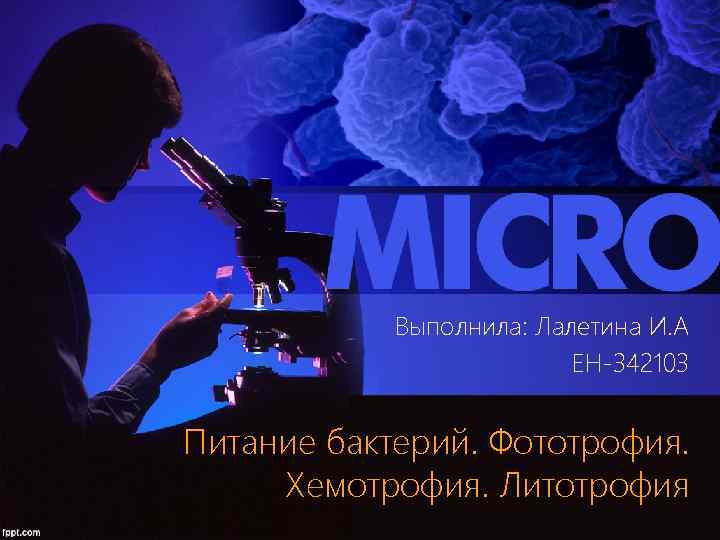 Выполнила: Лалетина И. А ЕН-342103 Питание бактерий. Фототрофия. Хемотрофия. Литотрофия 
