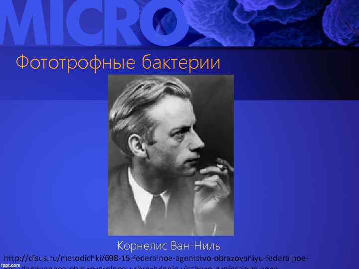 Фототрофные бактерии Корнелис Ван-Ниль http: //disus. ru/metodichki/698 -15 -federalnoe-agentstvo-obrazovaniyu-federalnoe- 