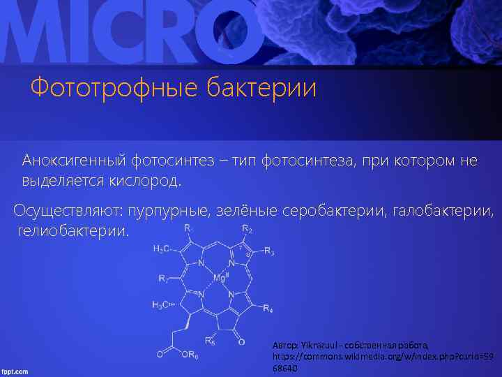 Фототрофные бактерии Аноксигенный фотосинтез – тип фотосинтеза, при котором не выделяется кислород. Осуществляют: пурпурные,
