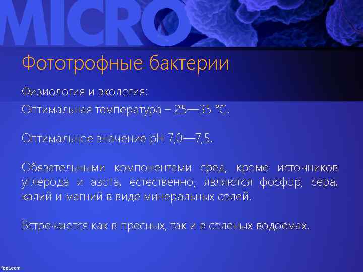 Фототрофные бактерии Физиология и экология: Оптимальная температура – 25— 35 °С. Оптимальное значение р.