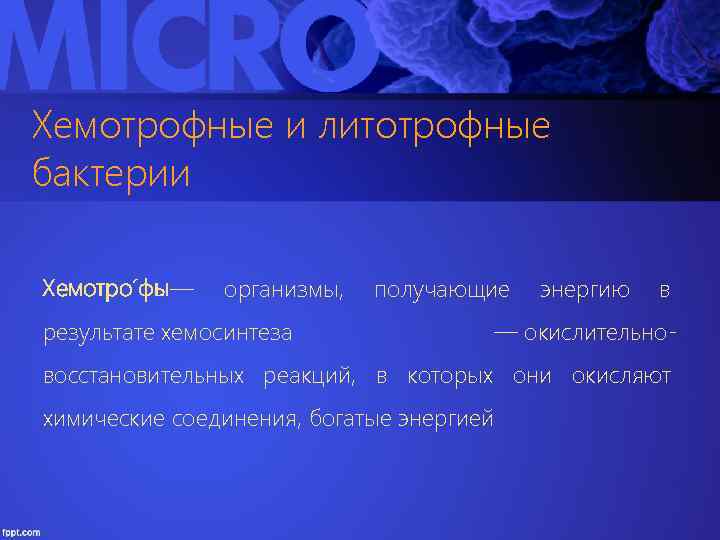 Хемотрофные и литотрофные бактерии Хемотро фы — организмы, результате хемосинтеза получающие энергию в —
