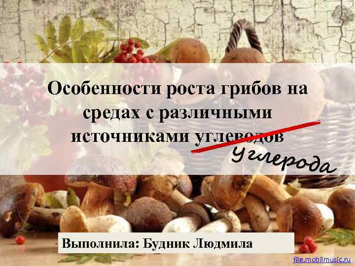 Особенности роста грибов на средах с различными источниками углеводов углер ода Выполнила: Будник Людмила