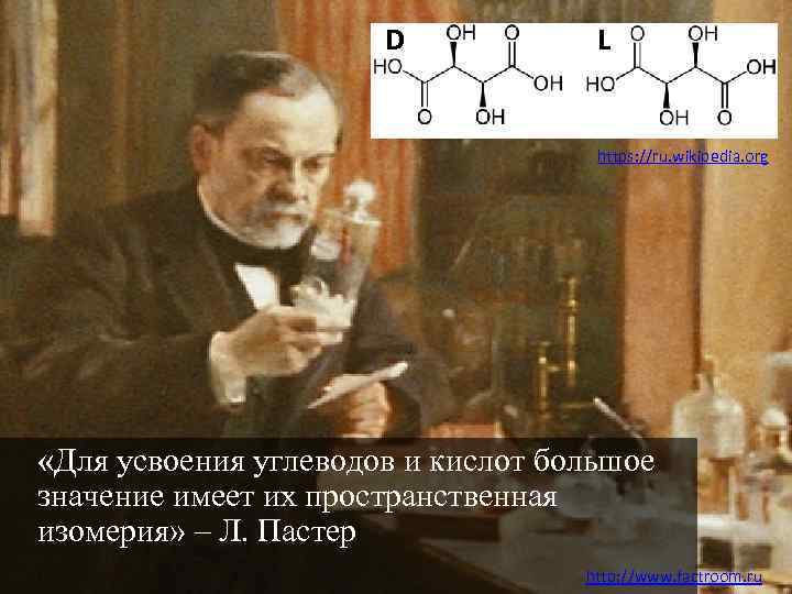 D L https: //ru. wikipedia. org «Для усвоения углеводов и кислот большое значение имеет