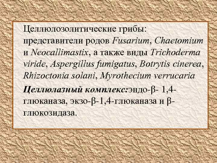 Целлюлозолитические грибы: представители родов Fusarium, Chaetomium и Neocallimastix, а также виды Trichoderma viride, Aspergillus