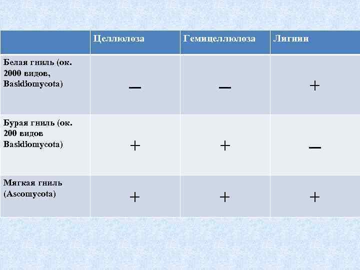 Целлюлоза Белая гниль (ок. 2000 видов, Basidiomycota) Бурая гниль (ок. 200 видов Basidiomycota) Мягкая