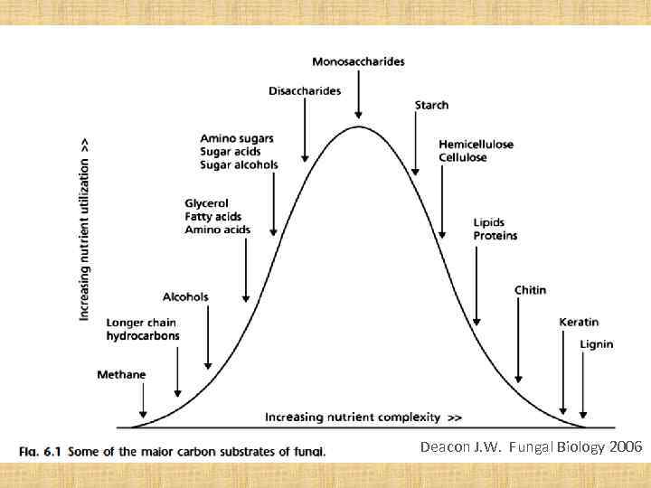 Deacon J. W. Fungal Biology 2006 