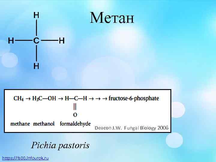 Метан Deacon J. W. Fungal Biology 2006 Pichia pastoris https: //fs 00. infourok. ru