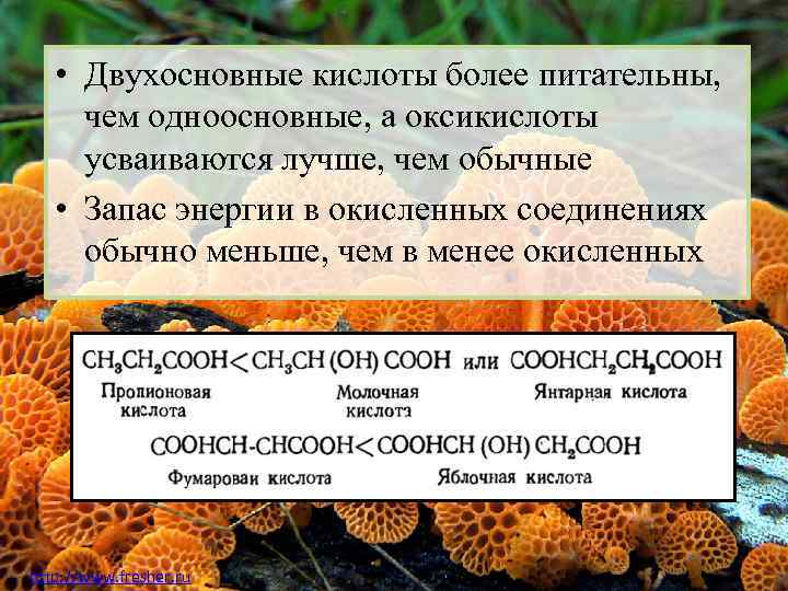  • Двухосновные кислоты более питательны, чем одноосновные, а оксикислоты усваиваются лучше, чем обычные