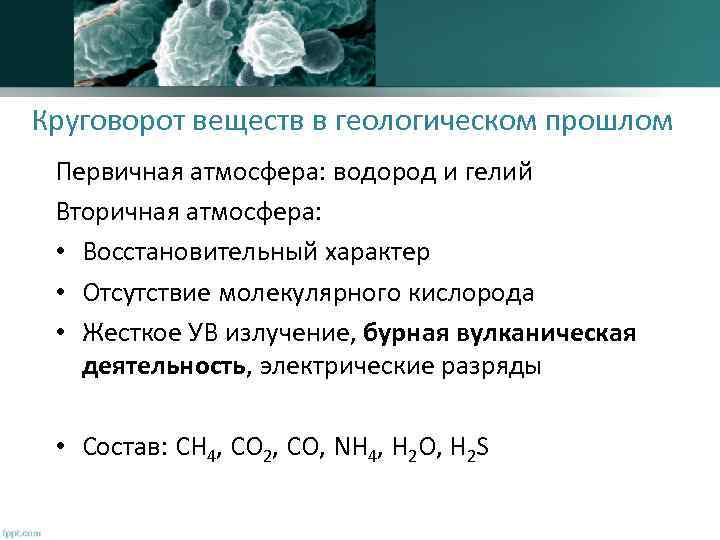 Круговорот веществ в геологическом прошлом Первичная атмосфера: водород и гелий Вторичная атмосфера: • Восстановительный