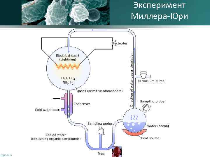 Эксперимент Миллера-Юри 