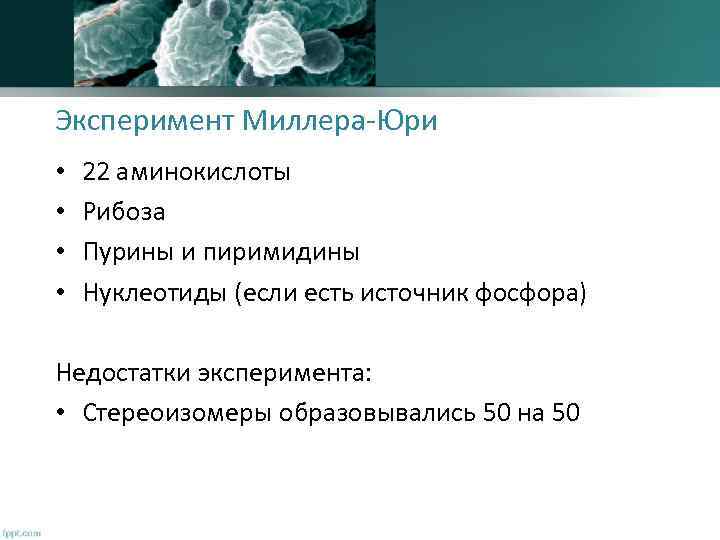 Эксперимент Миллера-Юри • • 22 аминокислоты Рибоза Пурины и пиримидины Нуклеотиды (если есть источник