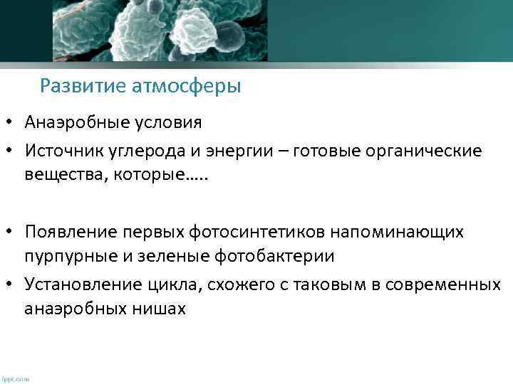 Развитие атмосферы • Анаэробные условия • Источник углерода и энергии – готовые органические вещества,