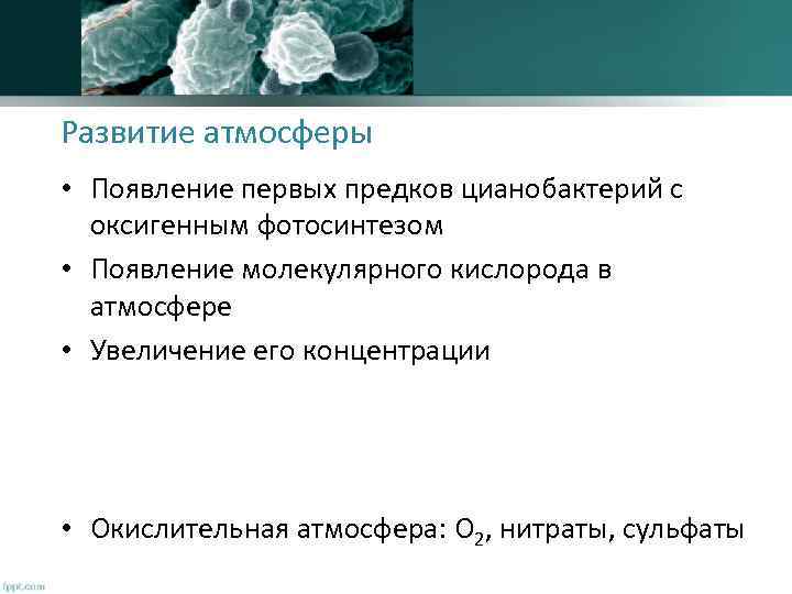 Развитие атмосферы • Появление первых предков цианобактерий с оксигенным фотосинтезом • Появление молекулярного кислорода