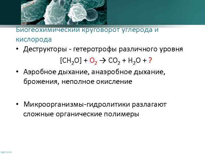 Сравнение брожения и дыхания лабораторная работа. Карбоксидобактерии. Аэробное дыхание. (Неполное окисление.). Неполное окисление у бактерий. Карбоксидобактерии микробиология.