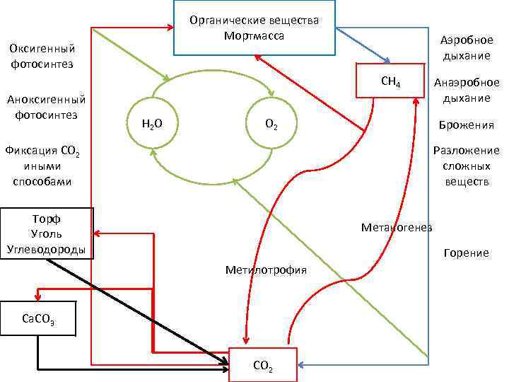 Органические вещества Мортмасса Оксигенный фотосинтез Аэробное дыхание СH 4 Аноксигенный фотосинтез H 2 O