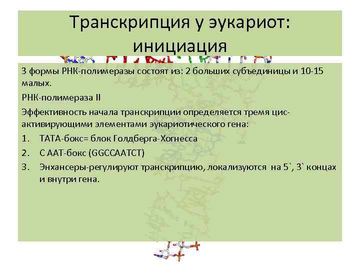 Транскрипция у эукариот: инициация 3 формы РНК-полимеразы состоят из: 2 больших субъединицы и 10