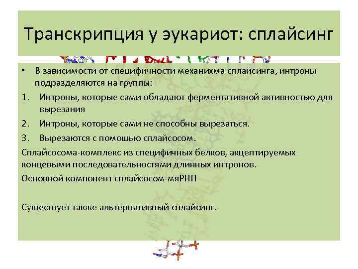 Транскрипция у эукариот: сплайсинг • В зависимости от специфичности механихма сплайсинга, интроны подразделяются на