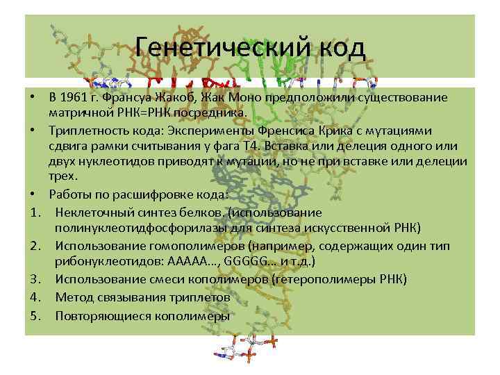 Генетический код • В 1961 г. Франсуа Жакоб, Жак Моно предположили существование матричной РНК=РНК