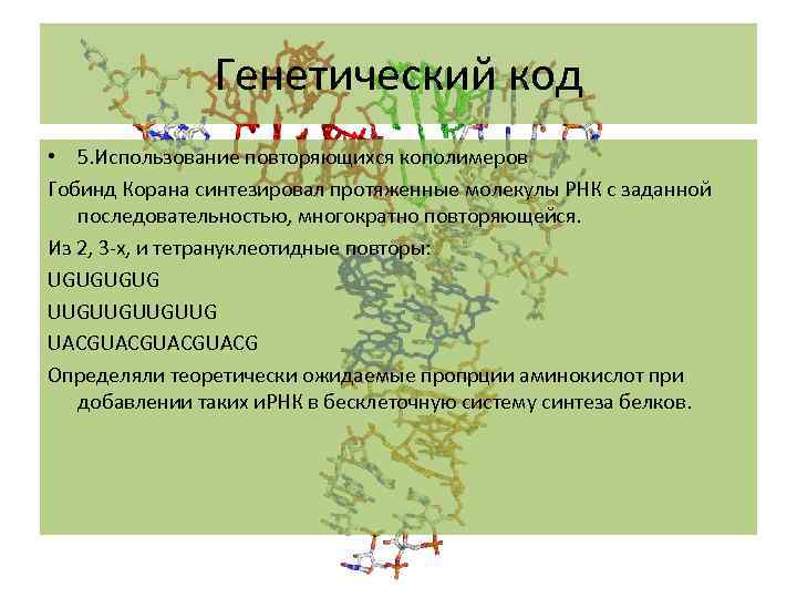 Генетический код • 5. Использование повторяющихся кополимеров Гобинд Корана синтезировал протяженные молекулы РНК с