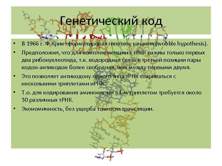 Генетический код • В 1966 г. Ф. Крик сформулировал гипотезу качания (wobble hypothesis). •