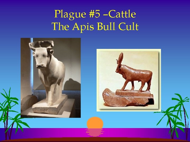 Plague #5 –Cattle The Apis Bull Cult 
