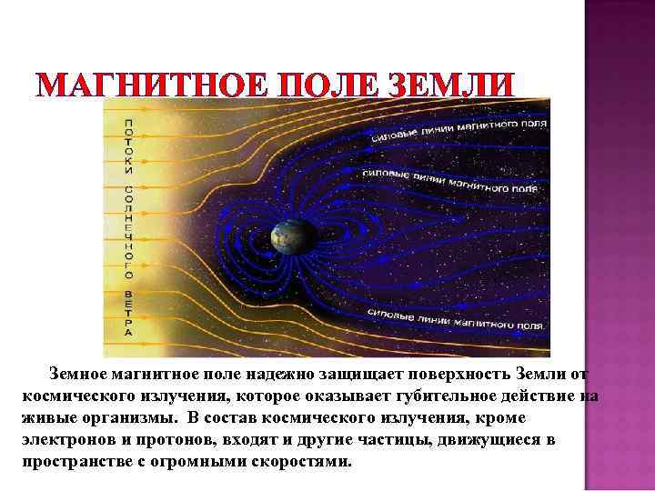 МАГНИТНОЕ ПОЛЕ ЗЕМЛИ Земное магнитное поле надежно защищает поверхность Земли от космического излучения, которое